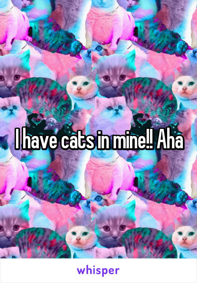 I have cats in mine!! Aha