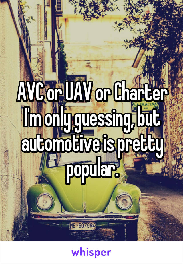 AVC or UAV or Charter
I'm only guessing, but automotive is pretty popular.