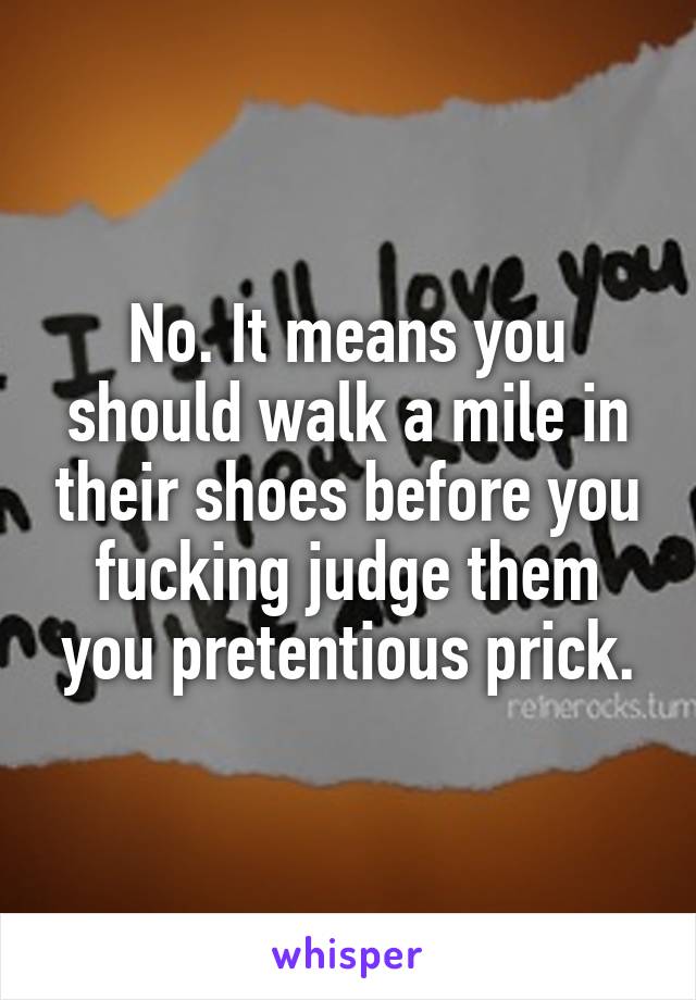 No. It means you should walk a mile in their shoes before you fucking judge them you pretentious prick.