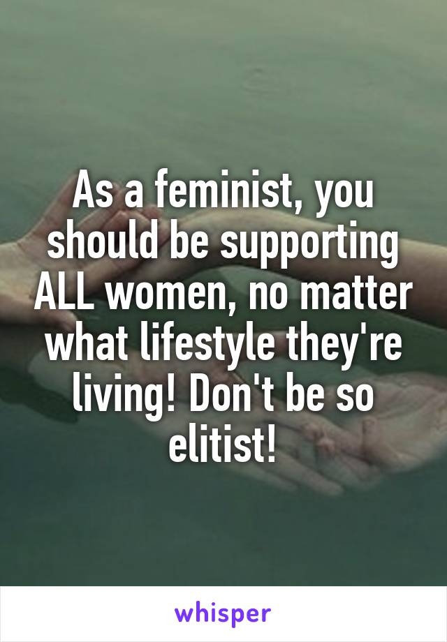 As a feminist, you should be supporting ALL women, no matter what lifestyle they're living! Don't be so elitist!
