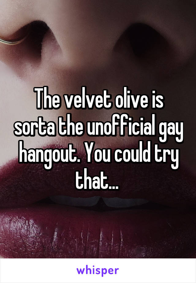 The velvet olive is sorta the unofficial gay hangout. You could try that... 