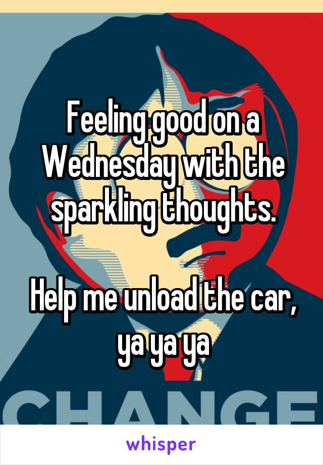 Feeling good on a Wednesday with the sparkling thoughts.

Help me unload the car, ya ya ya
