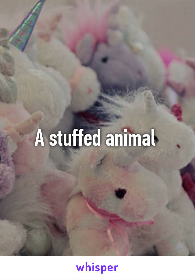 A stuffed animal 