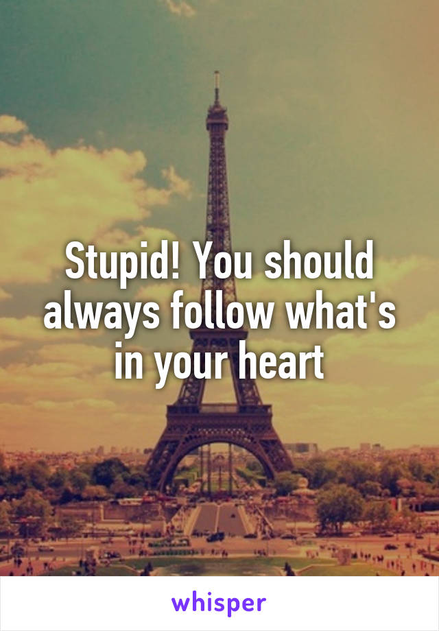 Stupid! You should always follow what's in your heart