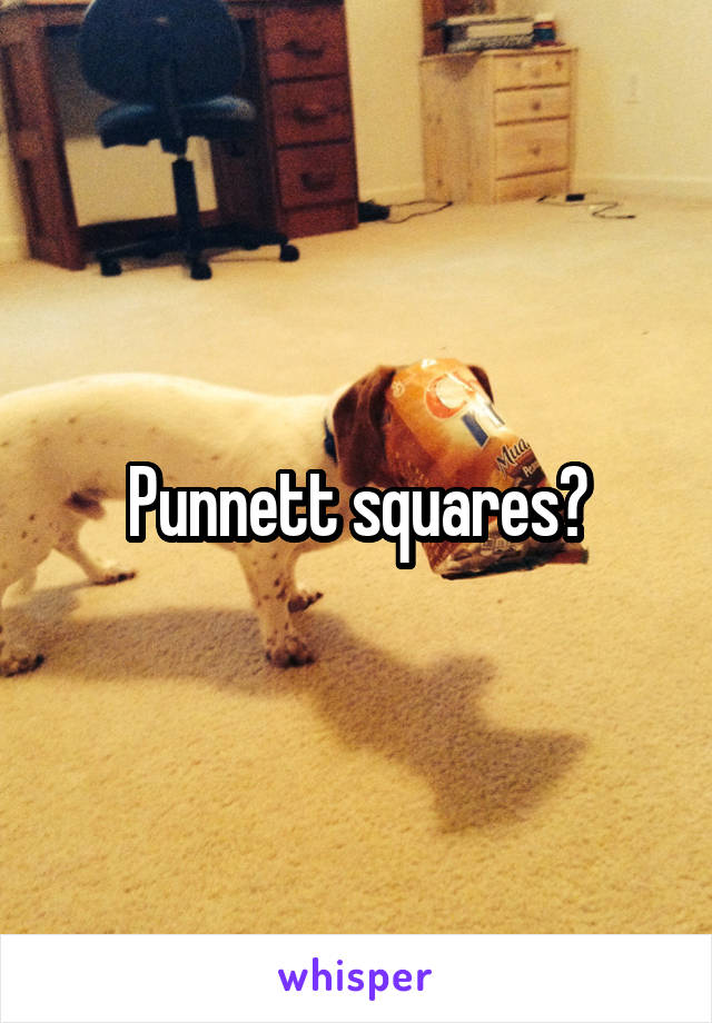 Punnett squares?