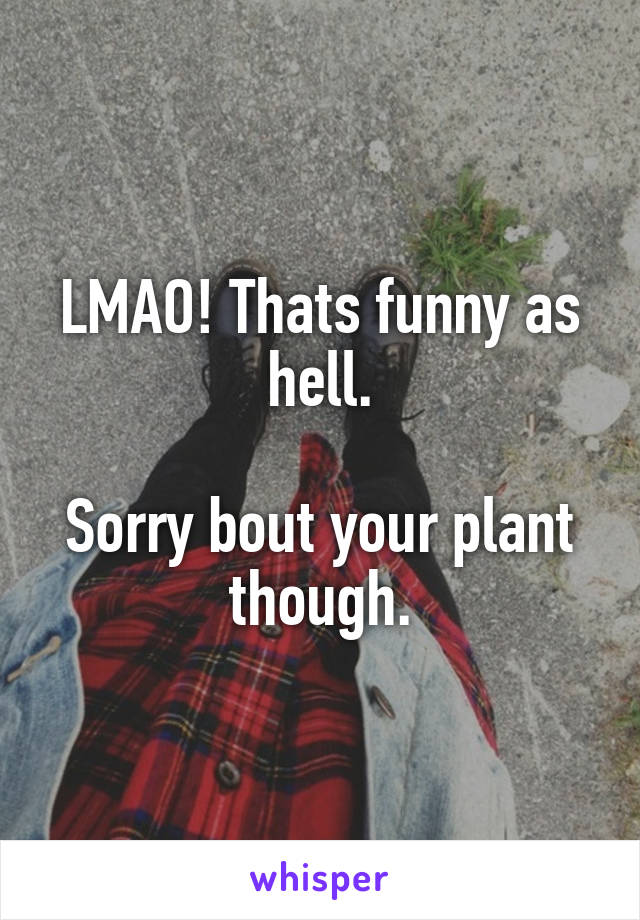 LMAO! Thats funny as hell.

Sorry bout your plant though.