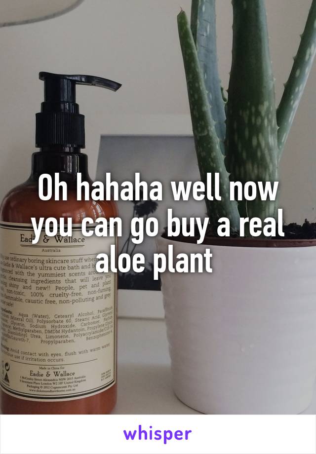 Oh hahaha well now you can go buy a real aloe plant 