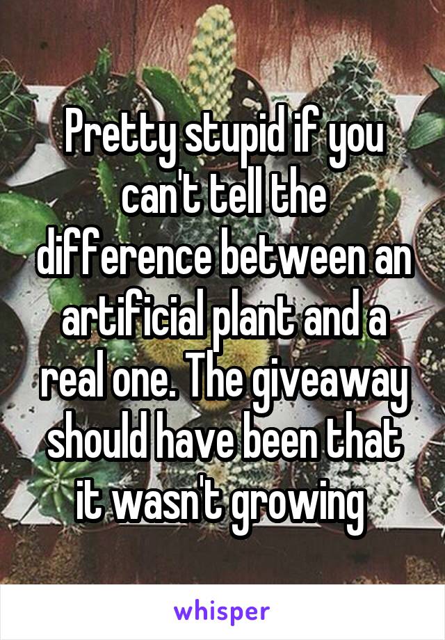 Pretty stupid if you can't tell the difference between an artificial plant and a real one. The giveaway should have been that it wasn't growing 