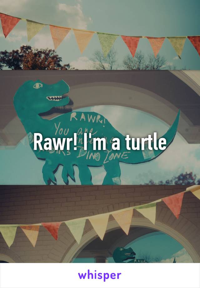 Rawr! I'm a turtle