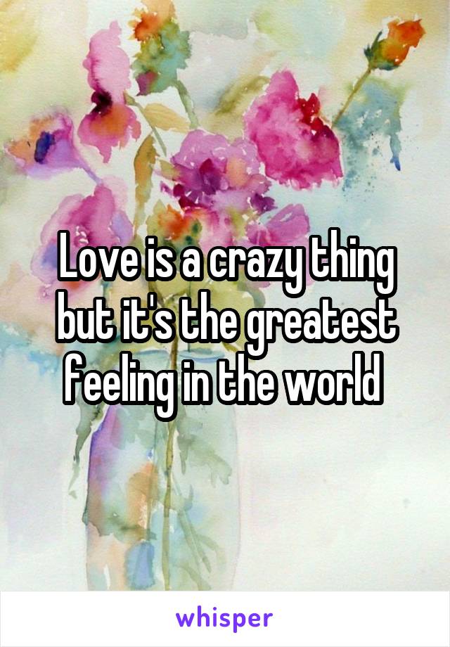 Love is a crazy thing but it's the greatest feeling in the world 