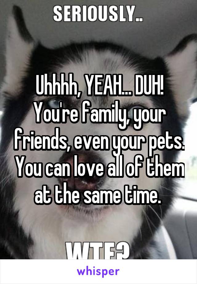 Uhhhh, YEAH... DUH! You're family, your friends, even your pets. You can love all of them at the same time. 