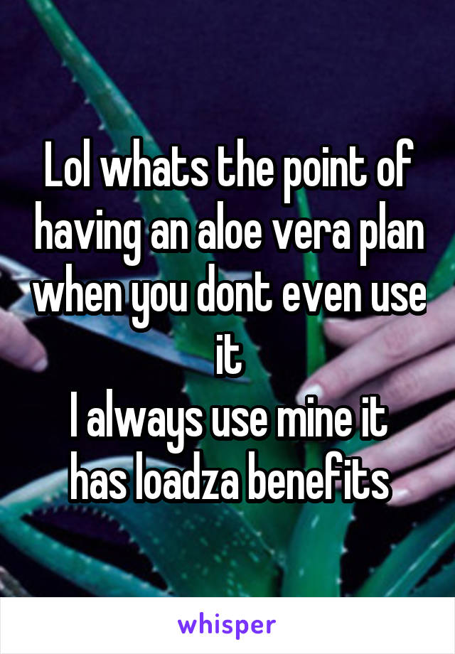 Lol whats the point of having an aloe vera plan when you dont even use it
I always use mine it has loadza benefits