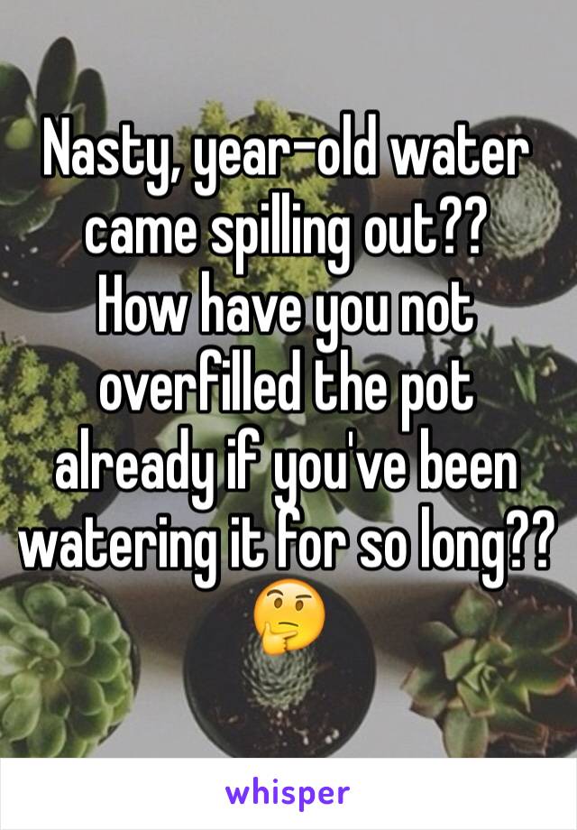 Nasty, year-old water came spilling out??
How have you not overfilled the pot already if you've been watering it for so long??
🤔