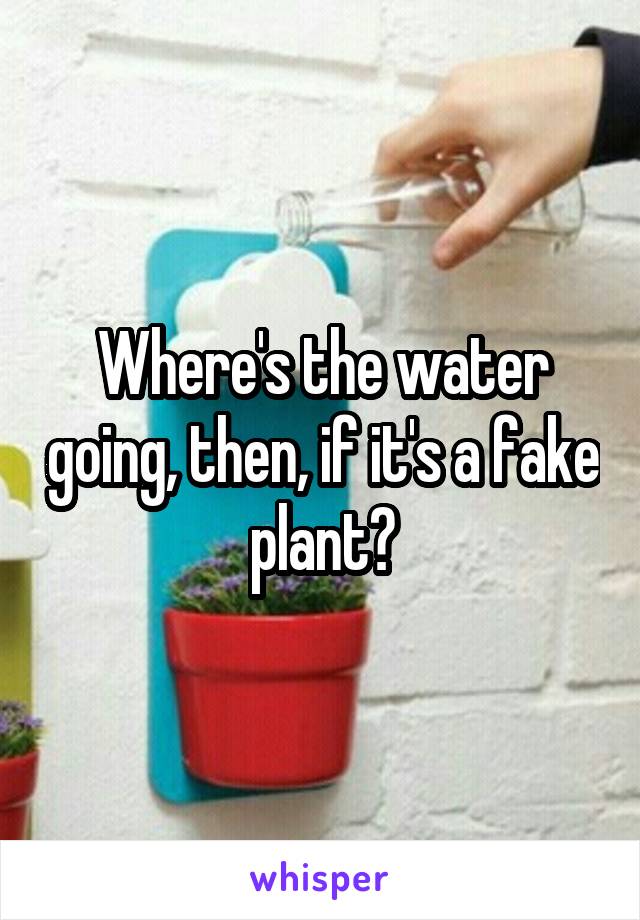 Where's the water going, then, if it's a fake plant?