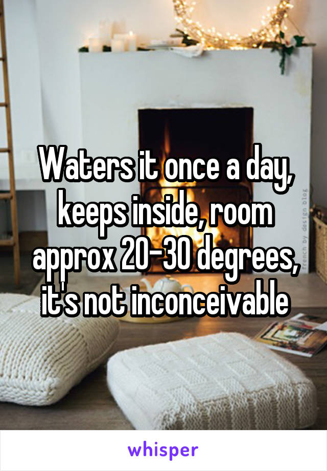 Waters it once a day, keeps inside, room approx 20-30 degrees, it's not inconceivable