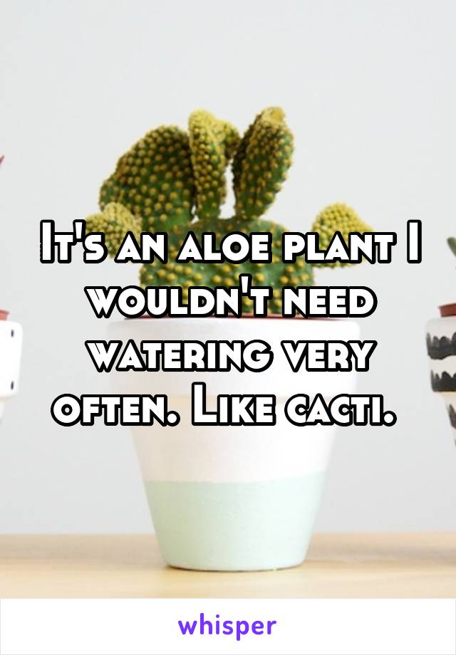 It's an aloe plant I wouldn't need watering very often. Like cacti. 