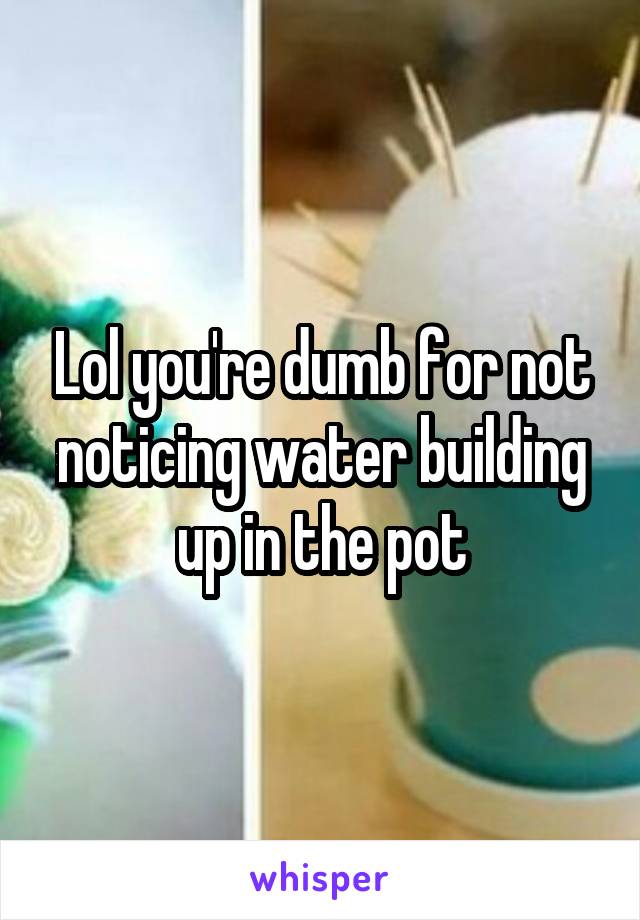 Lol you're dumb for not noticing water building up in the pot