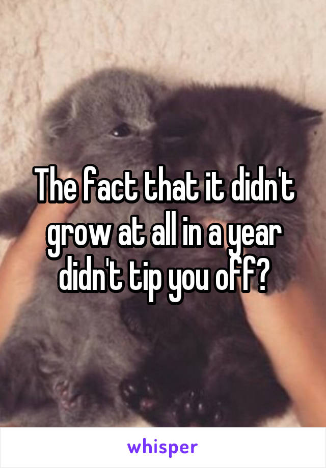 The fact that it didn't grow at all in a year didn't tip you off?