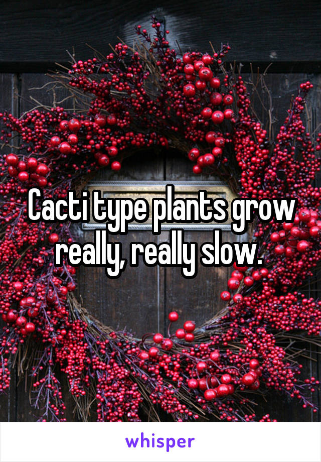 Cacti type plants grow really, really slow. 