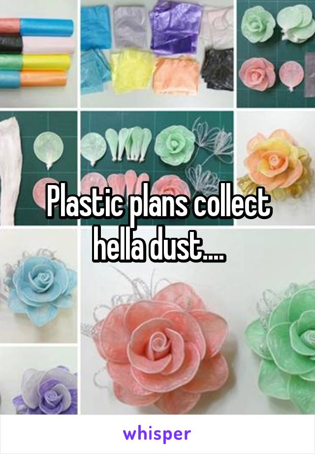 Plastic plans collect hella dust....