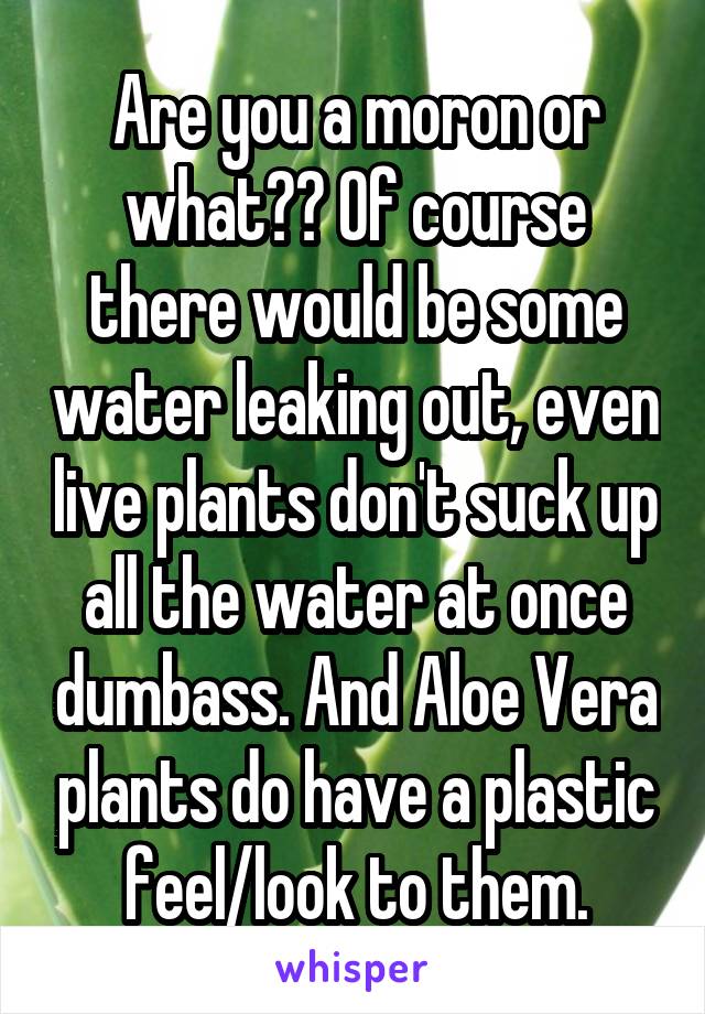 Are you a moron or what?? Of course there would be some water leaking out, even live plants don't suck up all the water at once dumbass. And Aloe Vera plants do have a plastic feel/look to them.