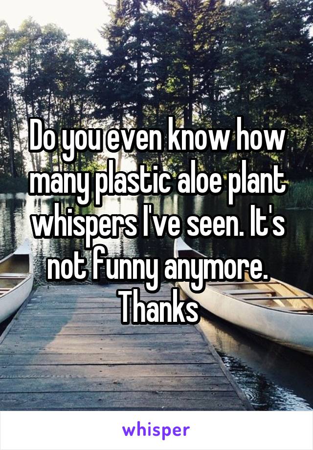 Do you even know how many plastic aloe plant whispers I've seen. It's not funny anymore. Thanks