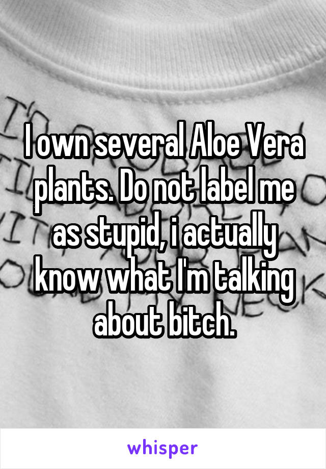 I own several Aloe Vera plants. Do not label me as stupid, i actually know what I'm talking about bitch.