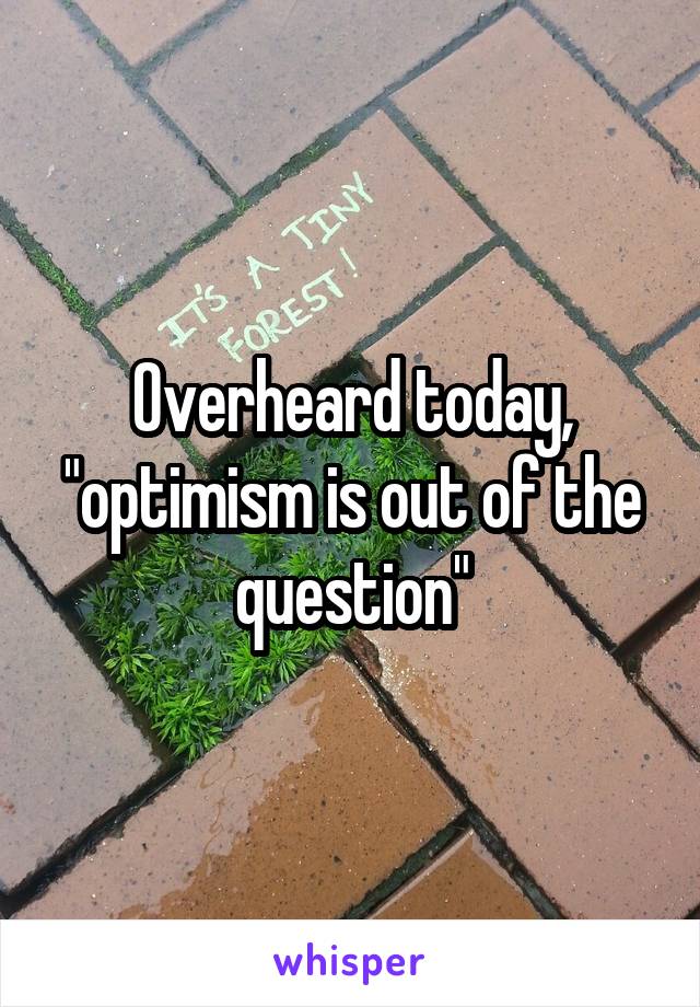 Overheard today, "optimism is out of the question"