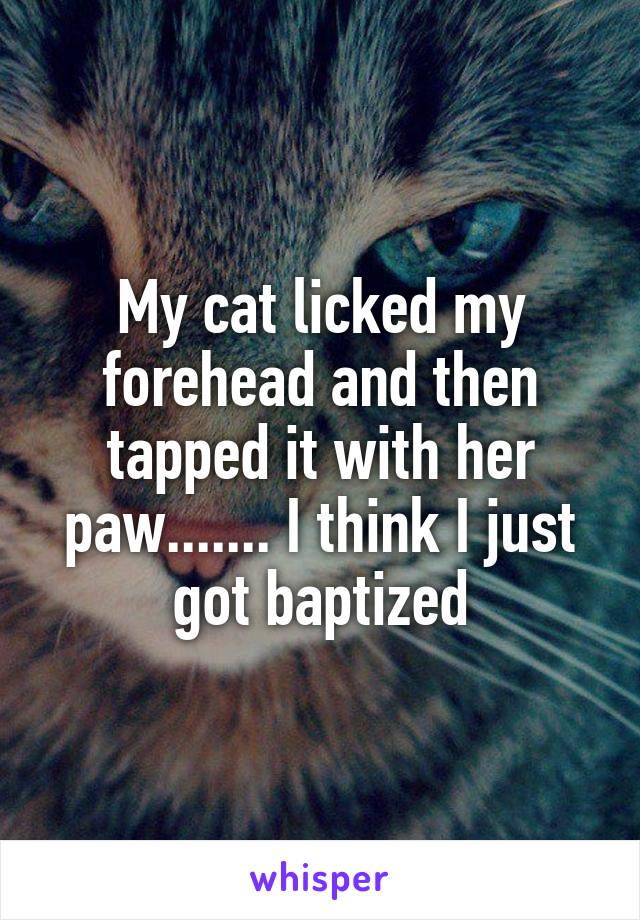 My cat licked my forehead and then tapped it with her paw....... I think I just got baptized