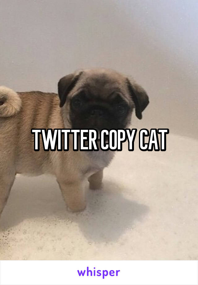 TWITTER COPY CAT