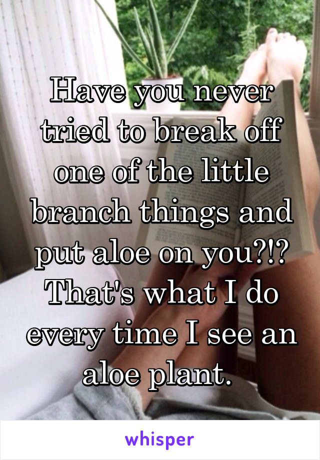 Have you never tried to break off one of the little branch things and put aloe on you?!? That's what I do every time I see an aloe plant. 