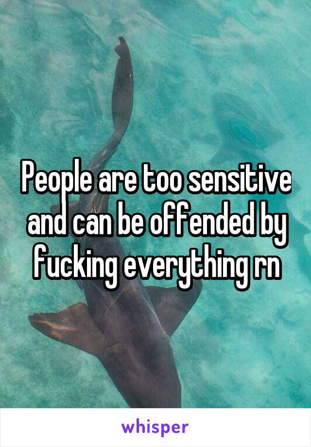 People are too sensitive and can be offended by fucking everything rn