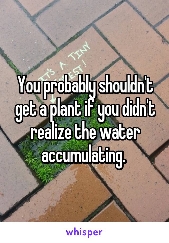 You probably shouldn't get a plant if you didn't realize the water accumulating. 