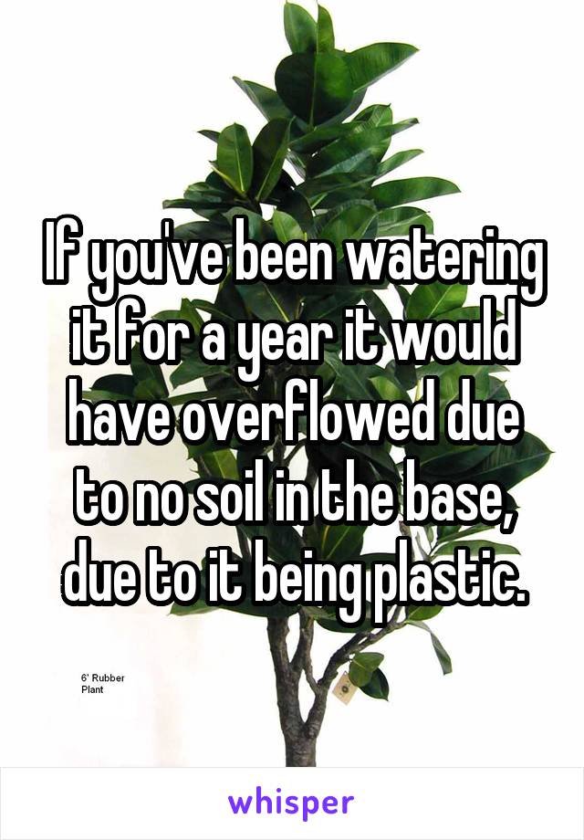 If you've been watering it for a year it would have overflowed due to no soil in the base, due to it being plastic.