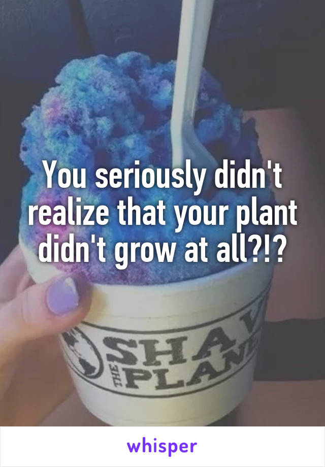 You seriously didn't realize that your plant didn't grow at all?!?
