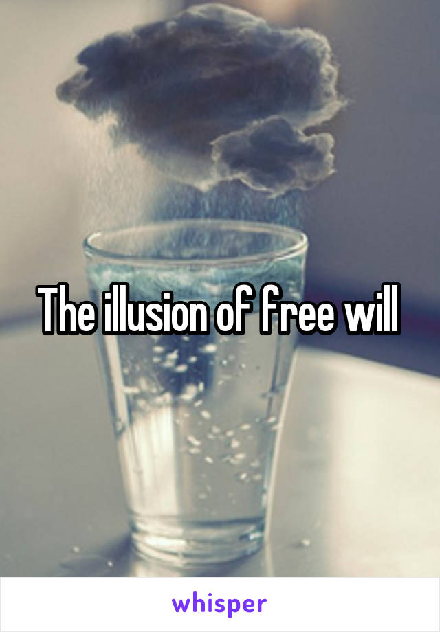 The illusion of free will 