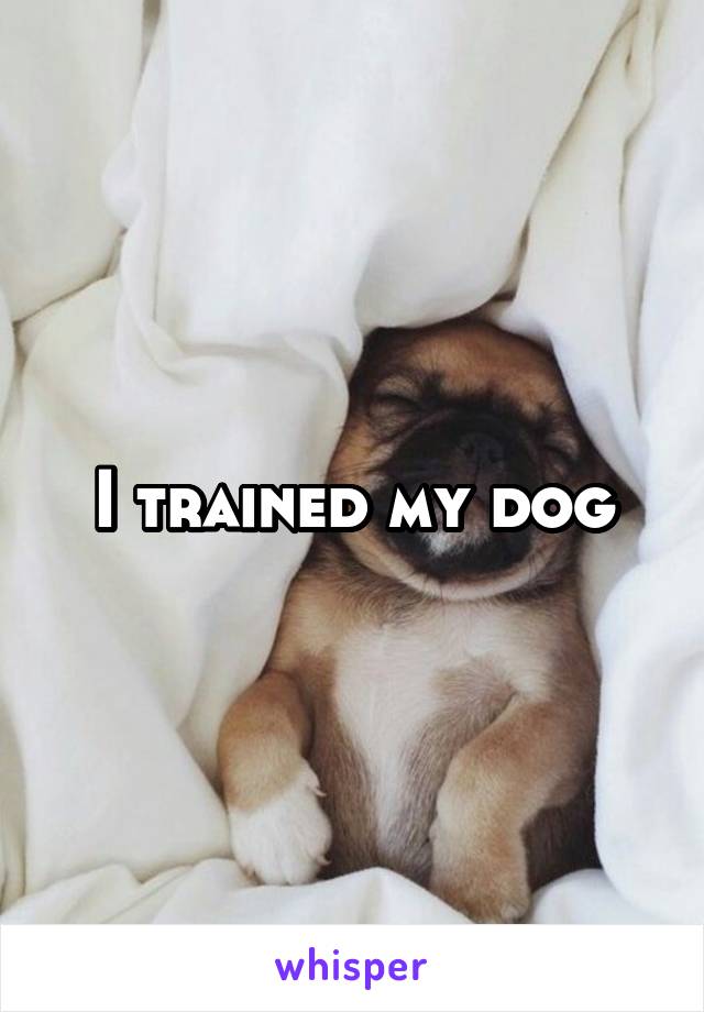 I trained my dog