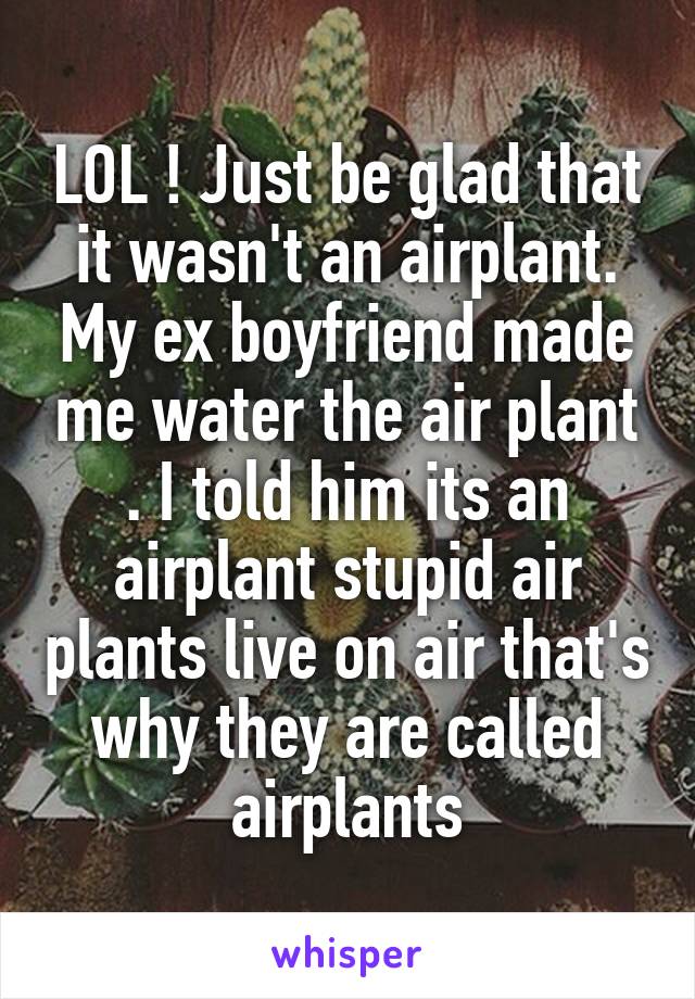 LOL ! Just be glad that it wasn't an airplant. My ex boyfriend made me water the air plant . I told him its an airplant stupid air plants live on air that's why they are called airplants