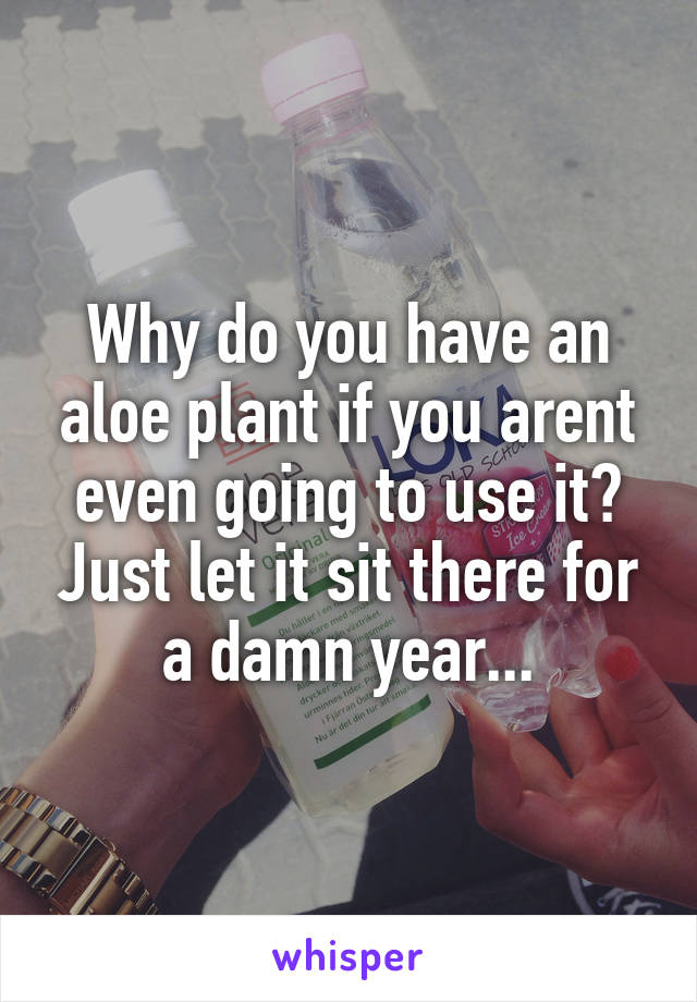 Why do you have an aloe plant if you arent even going to use it? Just let it sit there for a damn year...