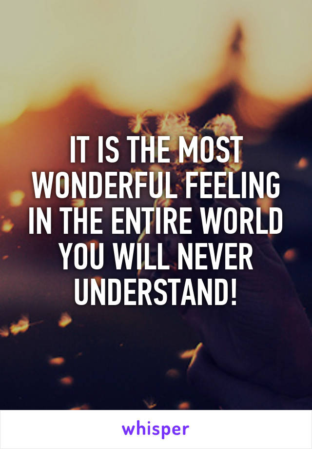 IT IS THE MOST WONDERFUL FEELING IN THE ENTIRE WORLD YOU WILL NEVER UNDERSTAND!