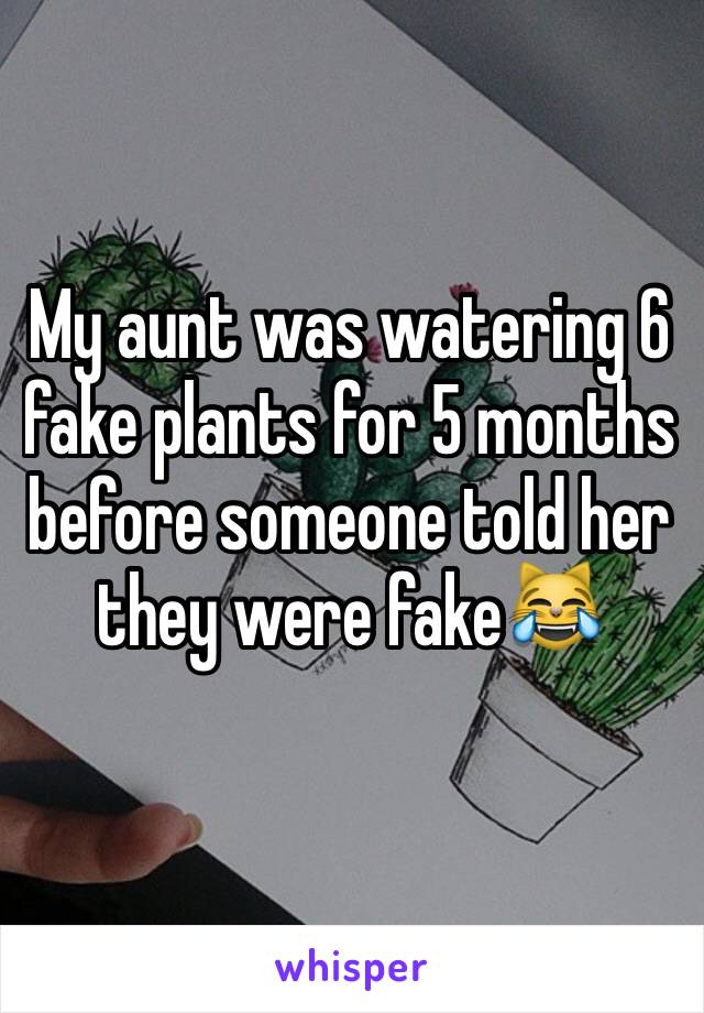 My aunt was watering 6 fake plants for 5 months before someone told her they were fake😹