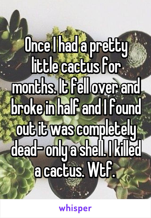 Once I had a pretty little cactus for months. It fell over and broke in half and I found out it was completely dead- only a shell. I killed a cactus. Wtf. 