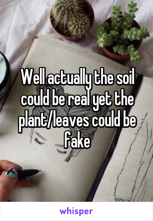 Well actually the soil could be real yet the plant/leaves could be fake