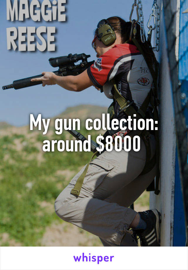 My gun collection: around $8000 