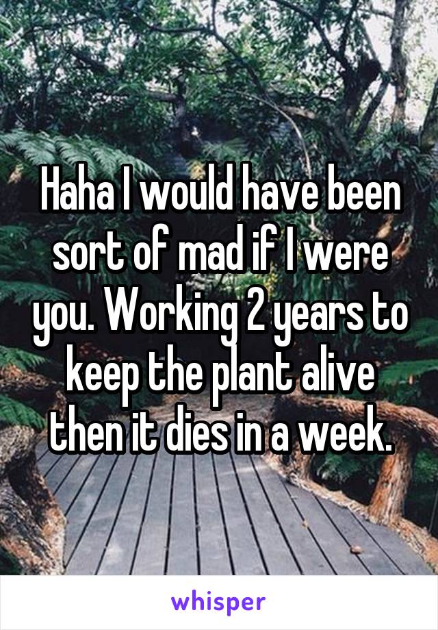 Haha I would have been sort of mad if I were you. Working 2 years to keep the plant alive then it dies in a week.