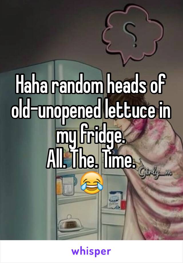 Haha random heads of old-unopened lettuce in my fridge. 
All. The. Time.
😂