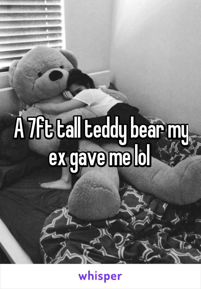 A 7ft tall teddy bear my ex gave me lol 
