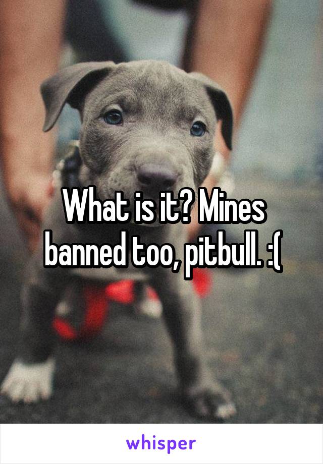 What is it? Mines banned too, pitbull. :(