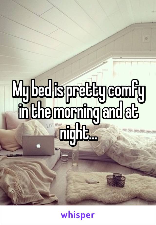 My bed is pretty comfy in the morning and at night...