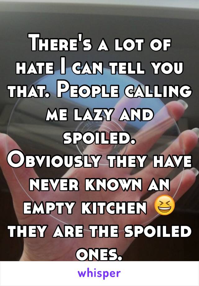 There's a lot of hate I can tell you that. People calling me lazy and spoiled. 
Obviously they have never known an empty kitchen 😆 they are the spoiled ones. 